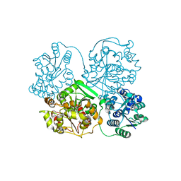 BU of 4y2t by Molmil