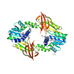 BU of 4y30 by Molmil