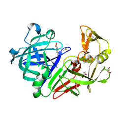 BU of 4y3f by Molmil