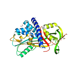 BU of 4y40 by Molmil