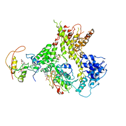 BU of 4y49 by Molmil