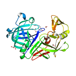 BU of 4y4x by Molmil