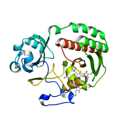 BU of 4y5f by Molmil