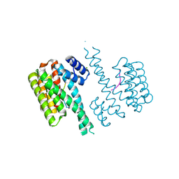 BU of 4y5i by Molmil