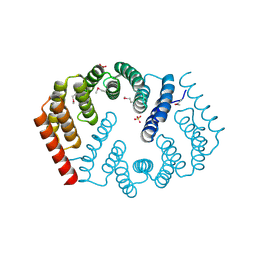 BU of 4y6c by Molmil