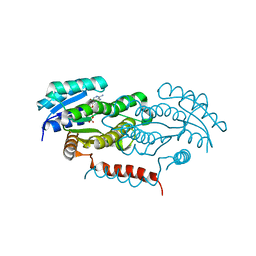 BU of 4y9d by Molmil