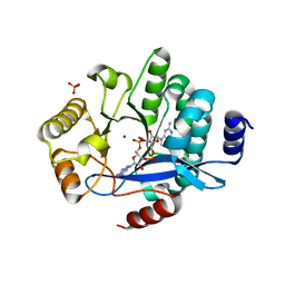 AU of 4y9q by Molmil