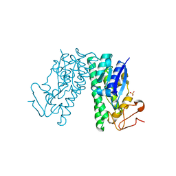 BU of 4yap by Molmil