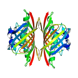 BU of 4ybv by Molmil