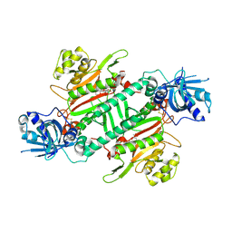 BU of 4ycv by Molmil