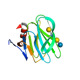 BU of 4yg0 by Molmil