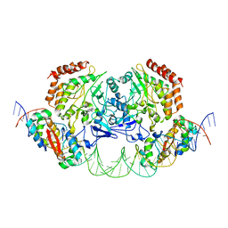 BU of 4yg7 by Molmil