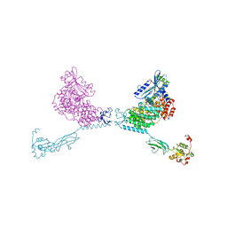 BU of 4yg8 by Molmil