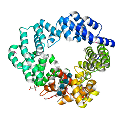 AU of 4yib by Molmil