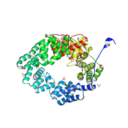 AU of 4yim by Molmil