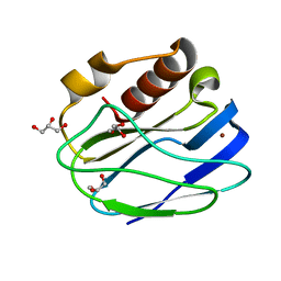 AU of 4yl4 by Molmil