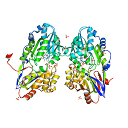 AU of 4yns by Molmil