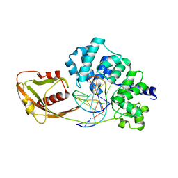 BU of 4ypr by Molmil