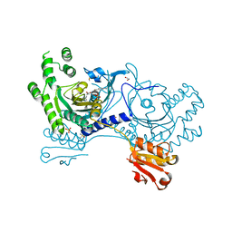 BU of 4yrp by Molmil