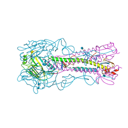 BU of 4yy1 by Molmil