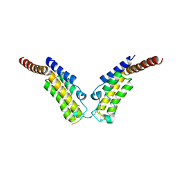 BU of 4yym by Molmil