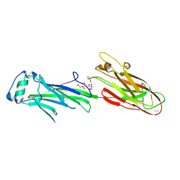 BU of 4z23 by Molmil