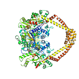 BU of 4z2d by Molmil