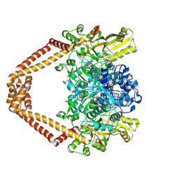 BU of 4z4q by Molmil