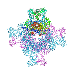 BU of 4z87 by Molmil