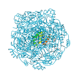 BU of 4zag by Molmil