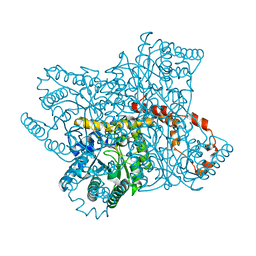 BU of 4zb2 by Molmil