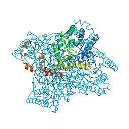 BU of 4zb5 by Molmil