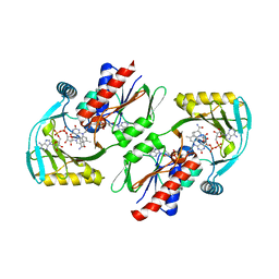 BU of 4zcc by Molmil