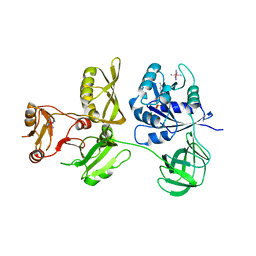 BU of 4zcl by Molmil