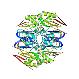 BU of 4zfl by Molmil