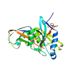 BU of 4zft by Molmil