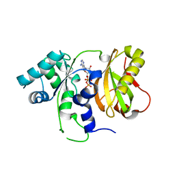 BU of 4zgp by Molmil