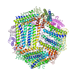 BU of 4zkw by Molmil