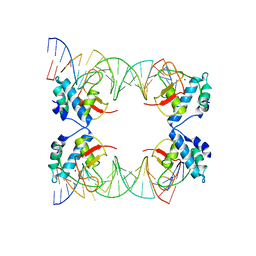 AU of 4zl3 by Molmil