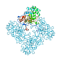 BU of 4zqm by Molmil