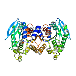 BU of 4zrs by Molmil