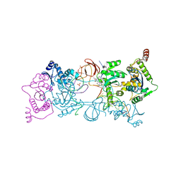 BU of 4ztf by Molmil