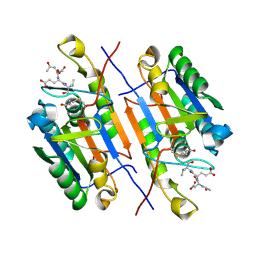 BU of 4zvp by Molmil