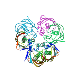 BU of 4zw0 by Molmil