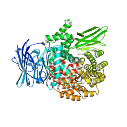 BU of 4zw8 by Molmil