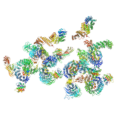 BU of 5a1y by Molmil