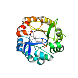 BU of 5ab3 by Molmil