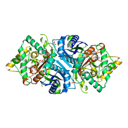 BU of 5ab6 by Molmil