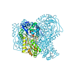 BU of 5ac2 by Molmil