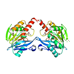 BU of 5acx by Molmil